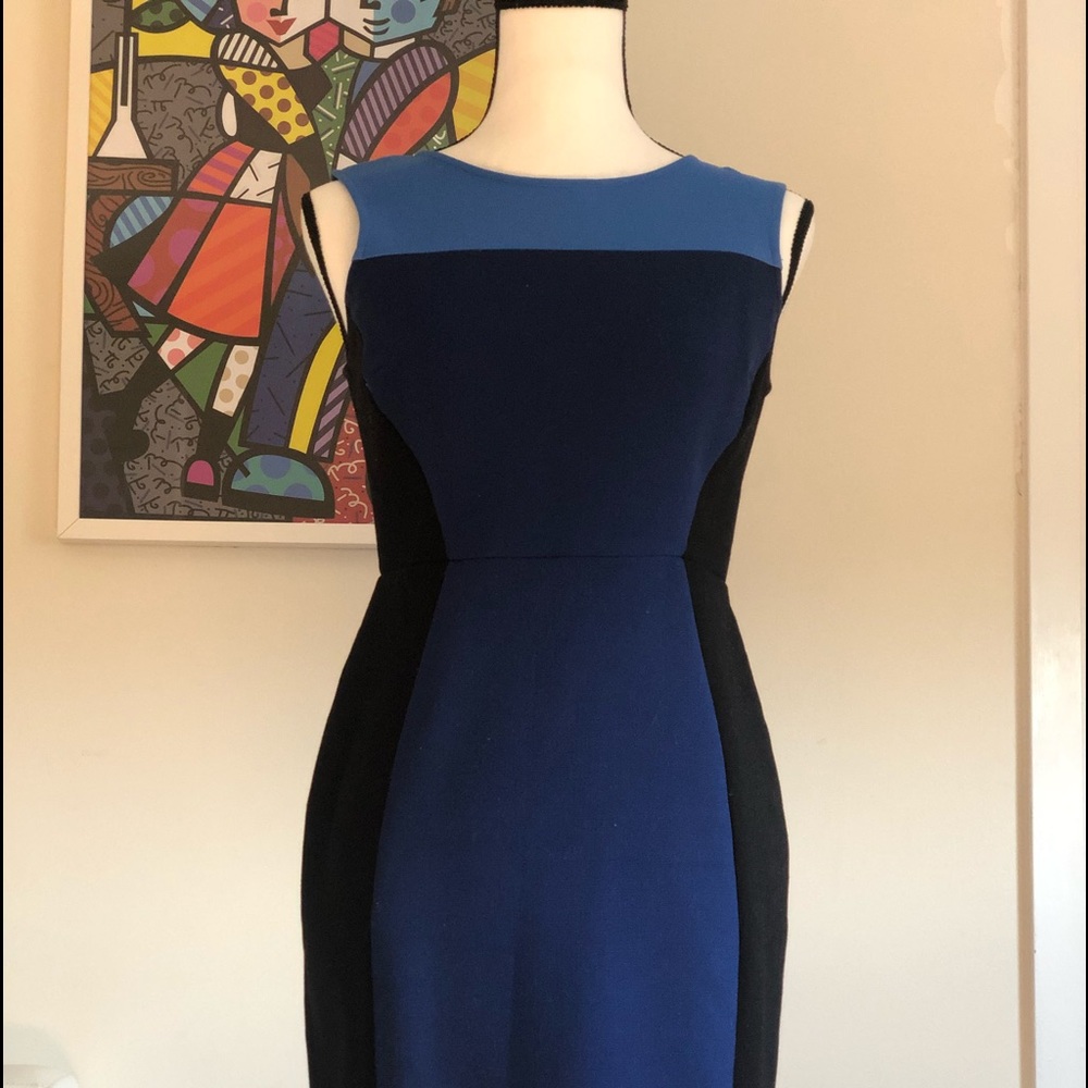 Loft Navy Dress